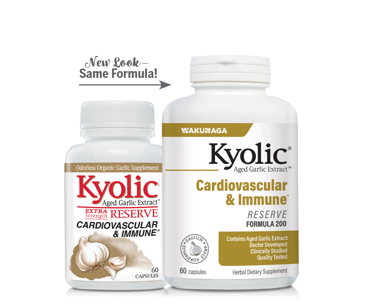 Kyolic Aged Garlic Extract, Cardiovascular